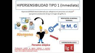 Hipersensibilidad IIIIV [upl. by Orlanta]