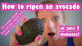 HOW TO RIPEN AVOCADOS FAST Speed ripen your unripe avocado quickly in your microwave in minutes [upl. by Ellerrehc]