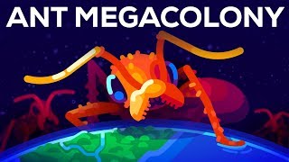 The Billion Ant Mega Colony and the Biggest War on Earth [upl. by Thomasa481]