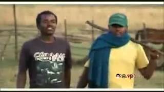 Hawi Tezera  Abichu New Oromo Music 2013 [upl. by Lisandra]