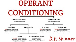 Operant conditioning in learning psychology [upl. by Lerej105]