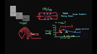 Kan Basıncı Tansiyon Nedir Sağlık Bilgisi ve Tıp Dolaşım Sistemi Fizyolojisi [upl. by Berk]