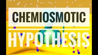 Chemiosmotic Hypothesis  ATP synthesis [upl. by Ruyle]