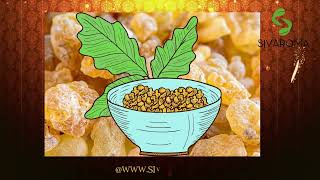 How to Pronounce Boswellia CORRECTLY [upl. by Pruter]