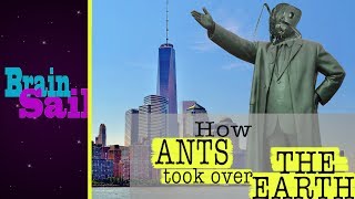 The Ant MegaColony That is Taking Over The World [upl. by Antoinette]