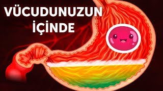 Vücudunuzun İçine Doğru Bir Yolculuk [upl. by Erde]