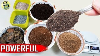 Best DIY Fertilizer Mix Recipe Universal Allpurpose Mixed Fertilizer Powder [upl. by Mcdade]