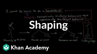 Operant conditioning Shaping  Behavior  MCAT  Khan Academy [upl. by Euqcaj]