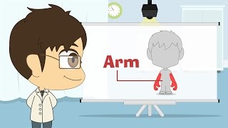 Human Body Parts in English for Kids  أجزاء جسم الإنسان باللغة الإنجليزية للأطفال [upl. by Buyse266]