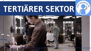 Tertiärer Sektor  Dienstleistungen  Wirtschaftssektoren 3  Dienstleistungsgesellschaft [upl. by Gentry]