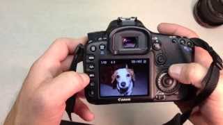 DSLR Basics using the Canon EOS 7D [upl. by Aynahs579]