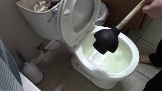 How To Plunge A Toilet [upl. by Hitt]