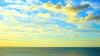 Relaxing Instrumental Music soft amp calm background music  relaxdaily N°080 [upl. by Nolana]