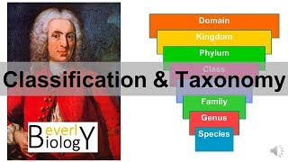 Classification and Taxonomy [upl. by Madancy]