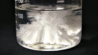 Supersaturated Sodium Acetate Crystallization [upl. by Eneles]