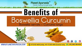 Benefits of Boswellia Boswellia serrata  Curcumin Curcuma longa [upl. by Salsbury714]