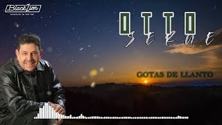 Otto Serge  Gotas de Llanto Video Lyric [upl. by Gundry]