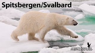 SpitsbergenSvalbard Photo Tour [upl. by Ken54]