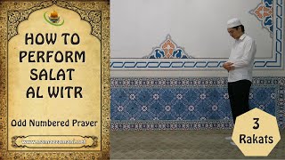 How to perform The Three Rakat Salat alWitr Odd Numbered Prayer [upl. by Anaila]