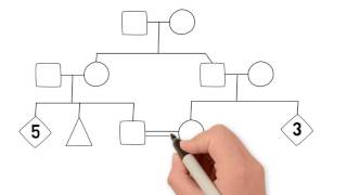 How to Draw a Family Tree  Part 1 Introduction [upl. by Dody151]