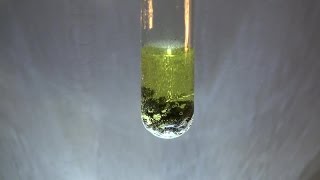 LeadII Chloride Synthesis PbCl2 [upl. by Esinrahs210]