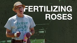 Fertilizing Roses with Paul Zimmerman [upl. by Rothenberg]