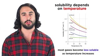 Temperature and Gas Solubility [upl. by Imar619]