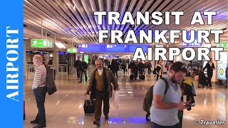 TRANSIT WALK AT FRANKFURT Airport FRA Terminal 1  Connection Flight Transfer Arriving amp Departing [upl. by Bala]