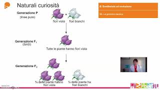 B6 Ereditarietà ed evoluzione  La genetica classica [upl. by Nadiya626]