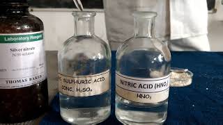 Class 12Practicalsalt Analysis detection of chloride and bromide an ions [upl. by Asalocin60]