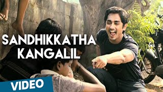 Sandhikkatha Kangalil Official Video Song  180  Siddharth  Priya Anand [upl. by Bledsoe839]